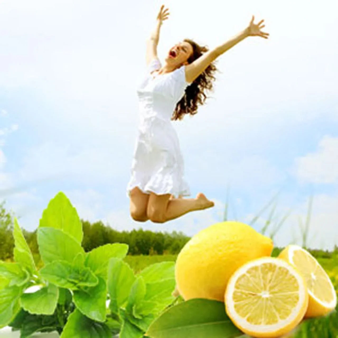 Aromatherapy Fragrance Oil